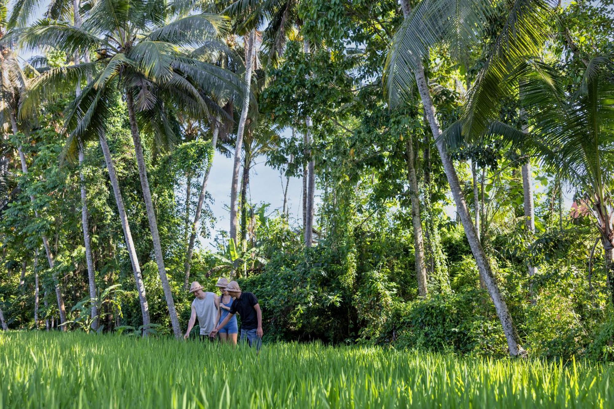 Kanhara Villas Ubud By Pramana Villas מראה חיצוני תמונה
